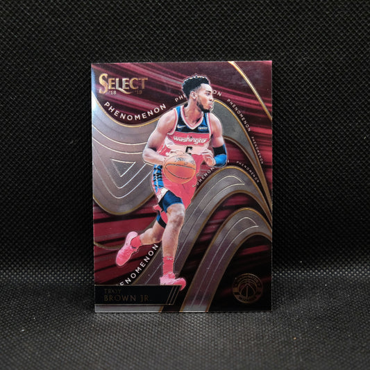 2018-19 Troy Brown Jr. Select Phenomenon Rookie Card #16