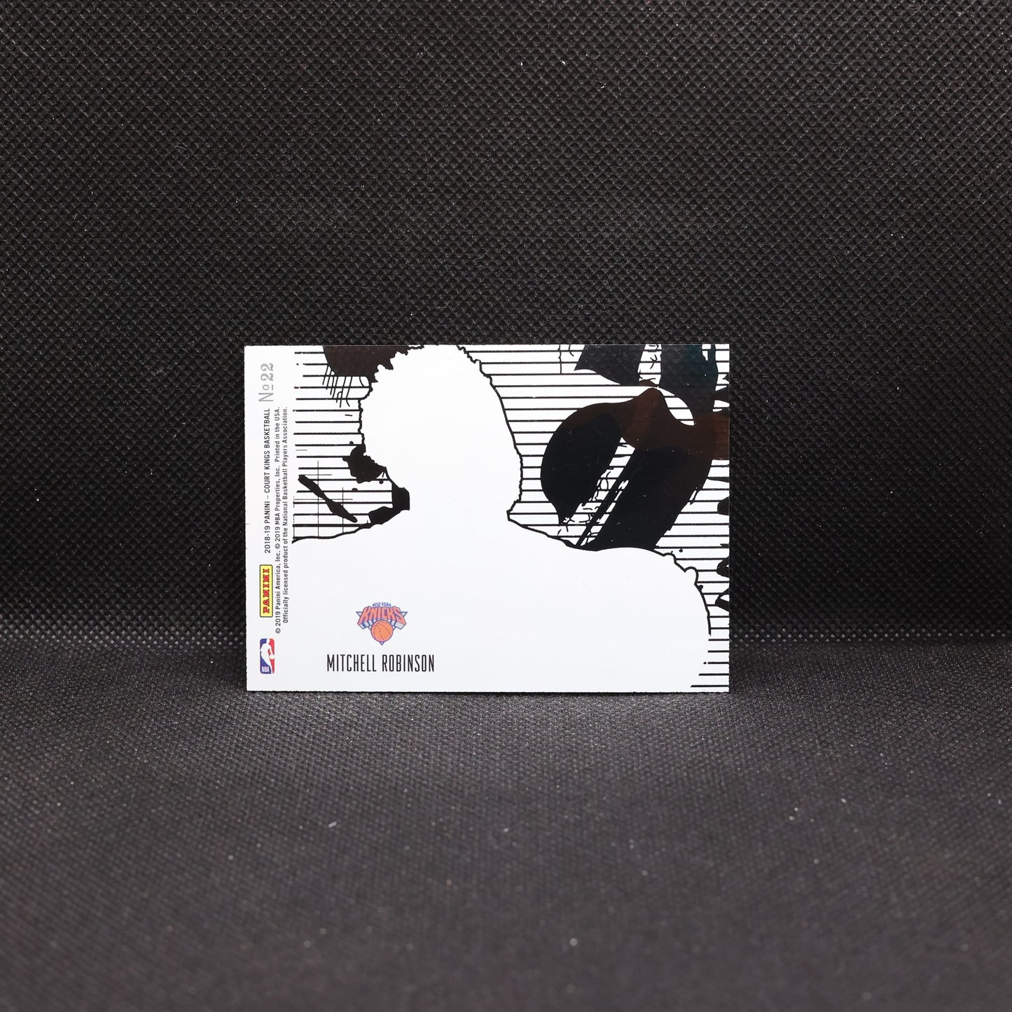 2018-19 Mitchell Robinson Court Kings #22 Acetate Rookie Card