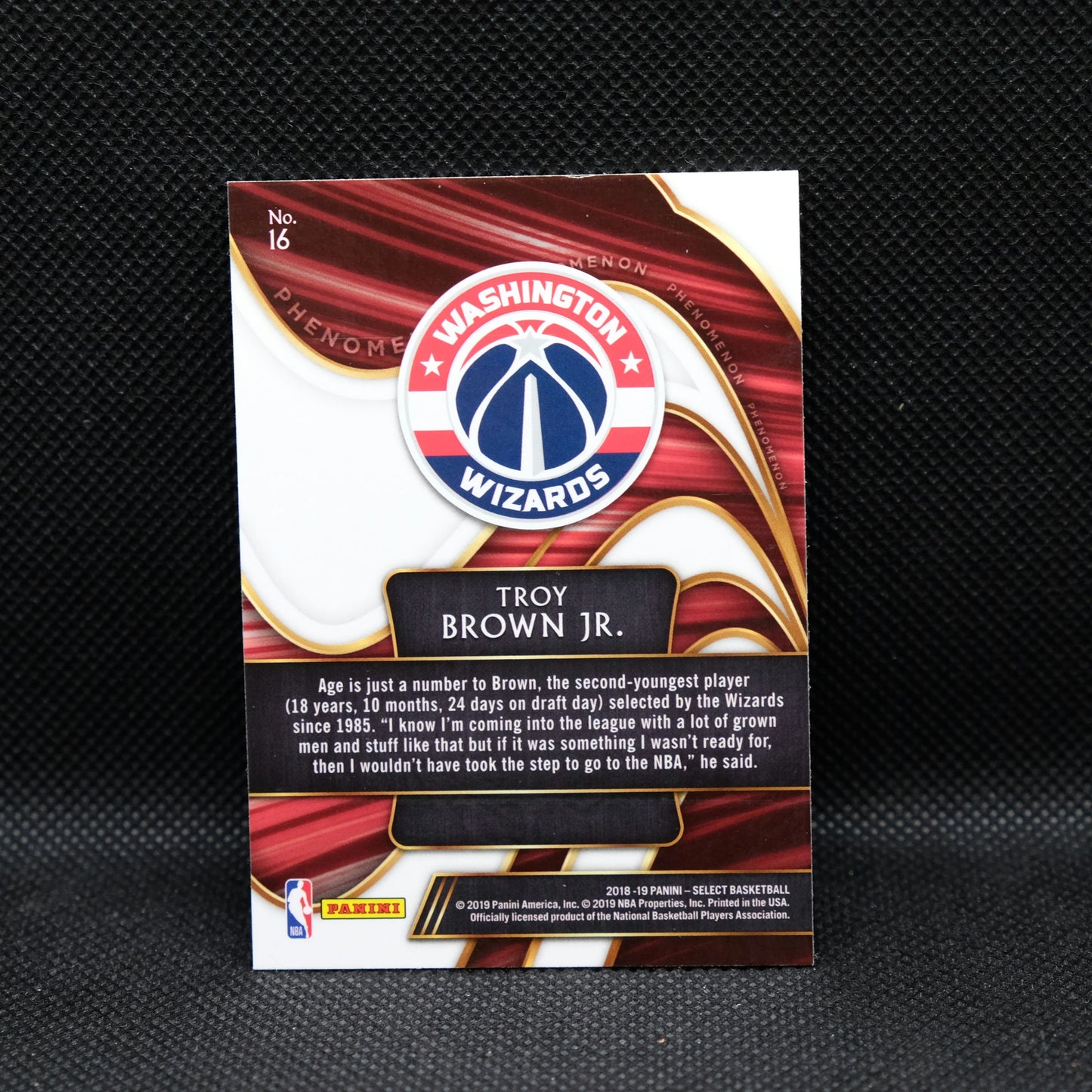 2018-19 Troy Brown Jr. Select Phenomenon Rookie Card  #16